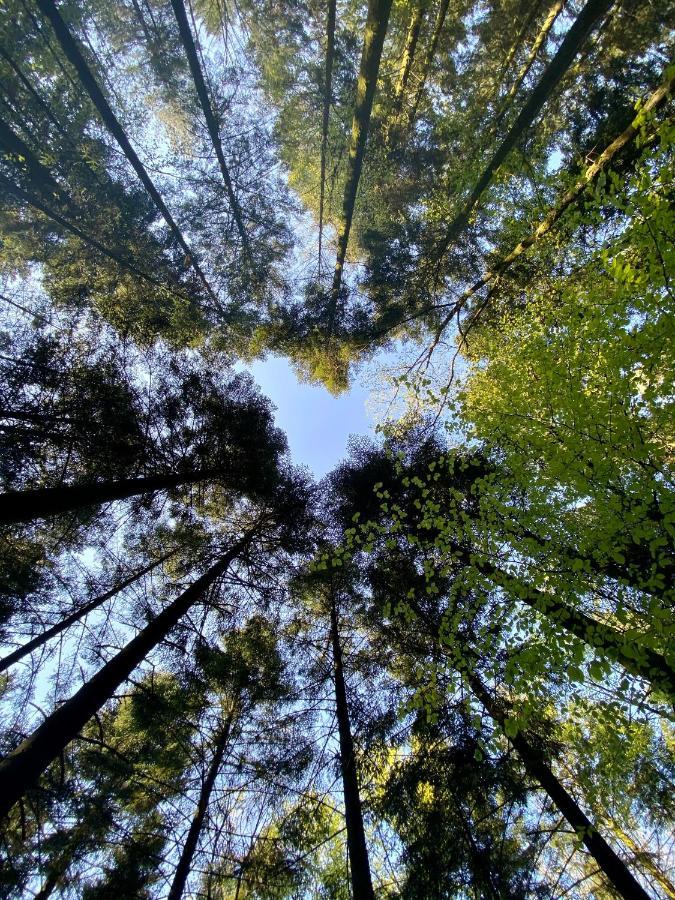 Camping De La Foret Seasonova Sillé-le-Guillaume Eksteriør billede