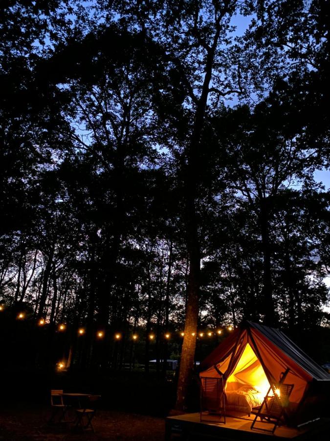 Camping De La Foret Seasonova Sillé-le-Guillaume Eksteriør billede